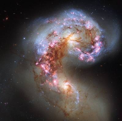 The NASA/ESA Hubble Space Telescope has snapped the best ever image of the Antennae Galaxies. Hubble has released images of these stunning galaxies twice before, once using observations from its Wide Field and Planetary Camera 2 (WFPC2) in 1997, and again in 2006 from the Advanced Camera for Surveys (ACS). Each of Hubble’s images of the Antennae Galaxies has been better than the last, due to upgrades made during the famous servicing missions, the last of which took place in 2009. The galaxies — also known as NGC 4038 and NGC 4039 — are locked in a deadly embrace. Once normal, sedate spiral galaxies like the Milky Way, the pair have spent the past few hundred million years sparring with one another. This clash is so violent that stars have been ripped from their host galaxies to form a streaming arc between the two. In wide-field images of the pair the reason for their name becomes clear — far-flung stars and streamers of gas stretch out into space, creating long tidal tails reminiscent of antennae. This new image of the Antennae Galaxies shows obvious signs of chaos. Clouds of gas are seen in bright pink and red, surrounding the bright flashes of blue star-forming regions — some of which are partially obscured by dark patches of dust. The rate of star formation is so high that the Antennae Galaxies are said to be in a state of starburst, a period in which all of the gas within the galaxies is being used to form stars. This cannot last forever and neither can the separate galaxies; eventually the nuclei will coalesce, and the galaxies will begin their retirement together as one large elliptical galaxy. This image uses visible and near-infrared observations from Hubble’s Wide Field Camera 3 (WFC3), along with some of the previously-released observations from Hubble’s Advanced Camera for Surveys (ACS).