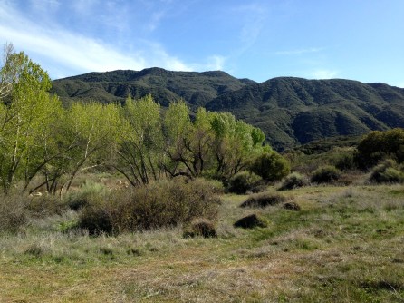 Sespe_Wilderness_Topography_4